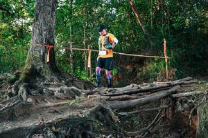 BIB: 
                            <button type="button" onclick="openModal(27543295)" class="btn btn-primary btn-sm float-right btn-popup" data-toggle="modal" data-target=".modal-high-quality">
                        <i class="fas fa-shopping-cart"></i> Add to Cart
                    </button>
                                            <button type="button" onclick="isThisMe(27543295, true)" class="btn btn-success btn-sm float-right btn-popup btn-isme hidden" data-toggle="tooltip" data-placement="bottom" title="นี่คือรูปของคุณใช่ไหม คลิกที่นี่เพื่อเอาเข้าอัลบั้ม">
                        <i class="fas fa-plus"></i> Add to album
                    </button>
                    <button type="button" onclick="isThisMe(27543295, false)" class="btn btn-warning btn-sm float-right btn-popup btn-isnotme hidden">
                        <i class="fas fa-ban"></i> Remove from album
                    </button>